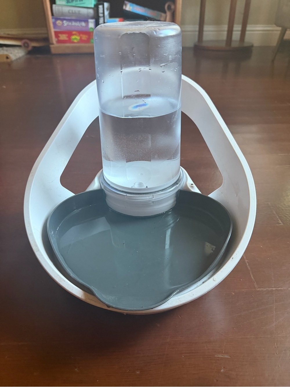 Felaqua Connect Automatic Pet Water Bowl - White and Gray